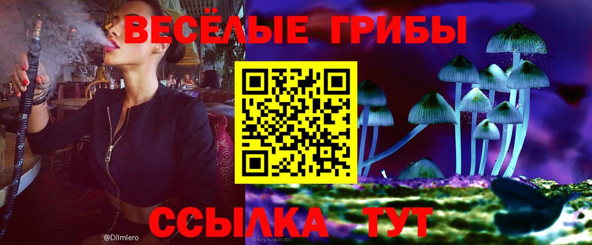 Галлюциногенные грибы мухоморы Серов